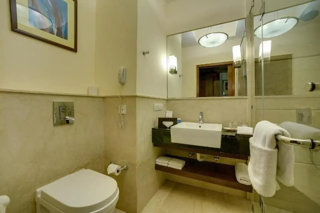 The Muse Sarovar Portico Nehru Place Delhi - photo 8