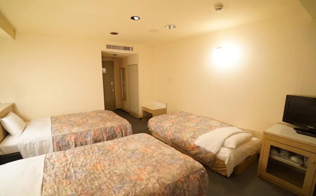 Hotel Shirakawago - photo 4