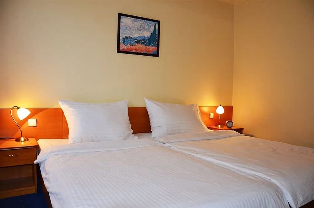 Albionette Hotel - photo 6