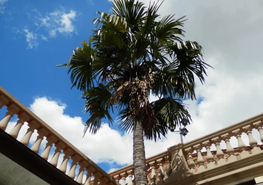 Villa Il Mosaico - photo 26
