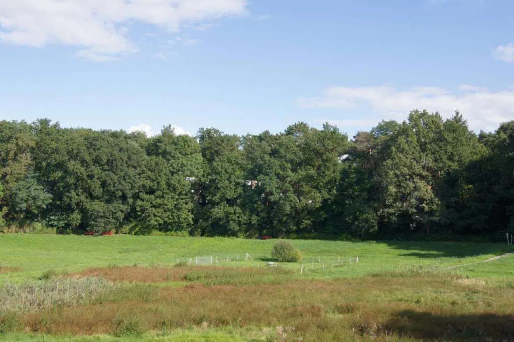 Tillmanns-Haus - photo 17
