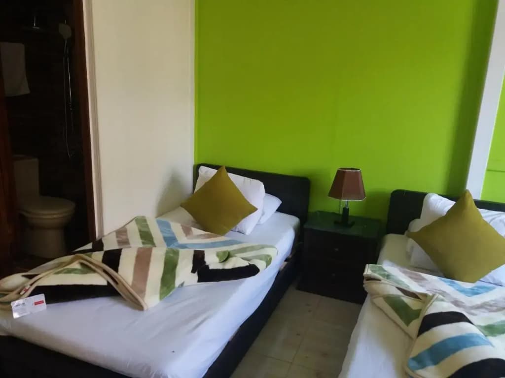 Cairo Golden Plaza Hotel - photo 5