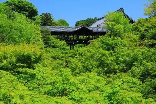 Machiya Kushige - main photo