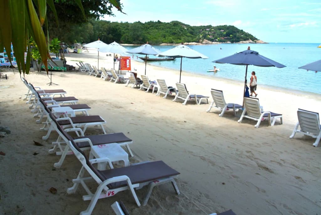 PS Thana Resort - photo 16