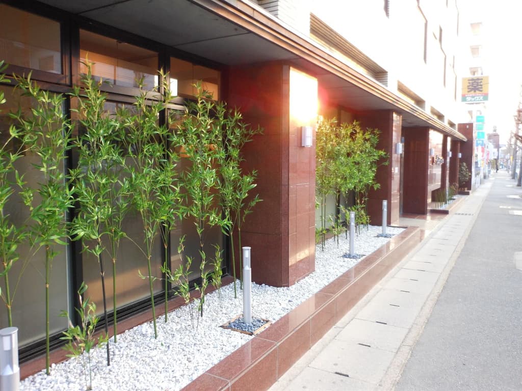 Saga Grace Hotel - photo 11