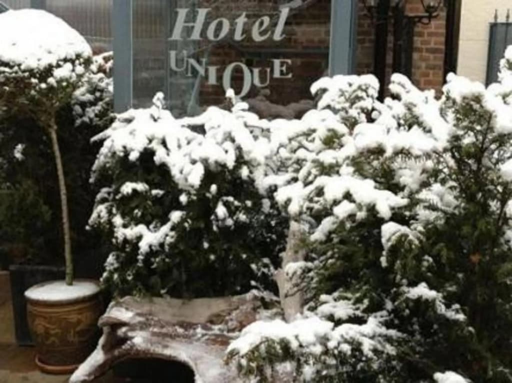 Hotel Unique - photo 1