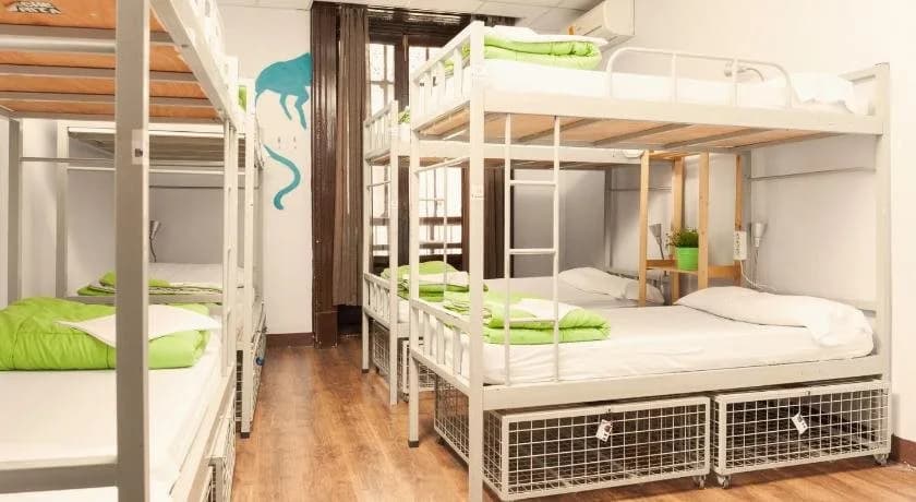 Cat's Hostel - photo 6