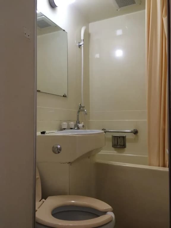 Kyoto White Hotel - photo 8