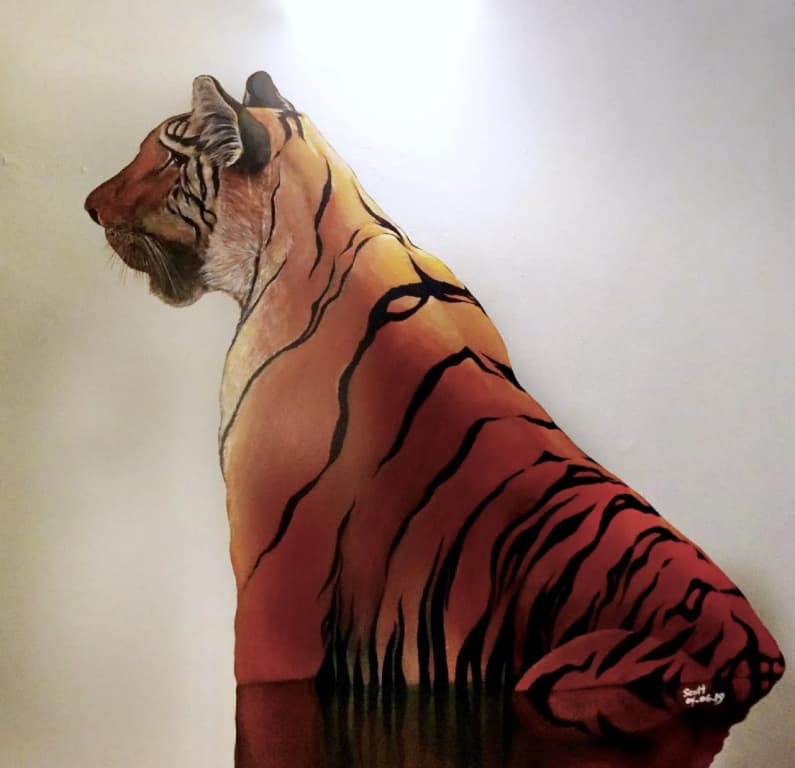 Tiger Hostel Sydney - photo 7