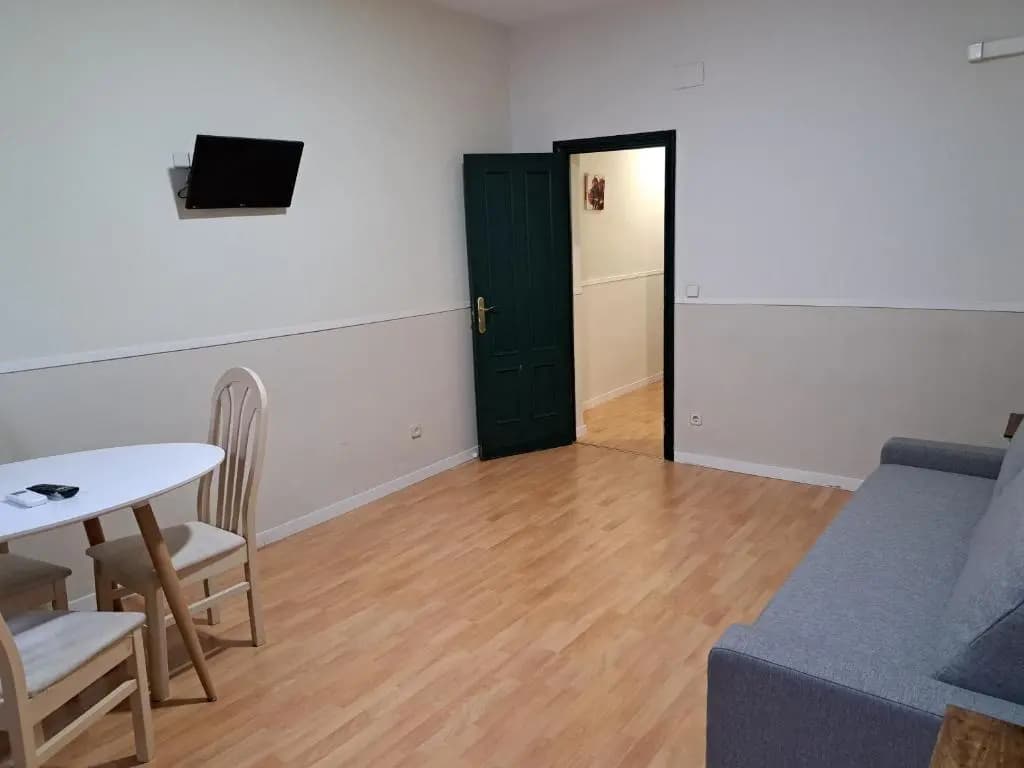 Apartamentos Mayor Centro - photo 3