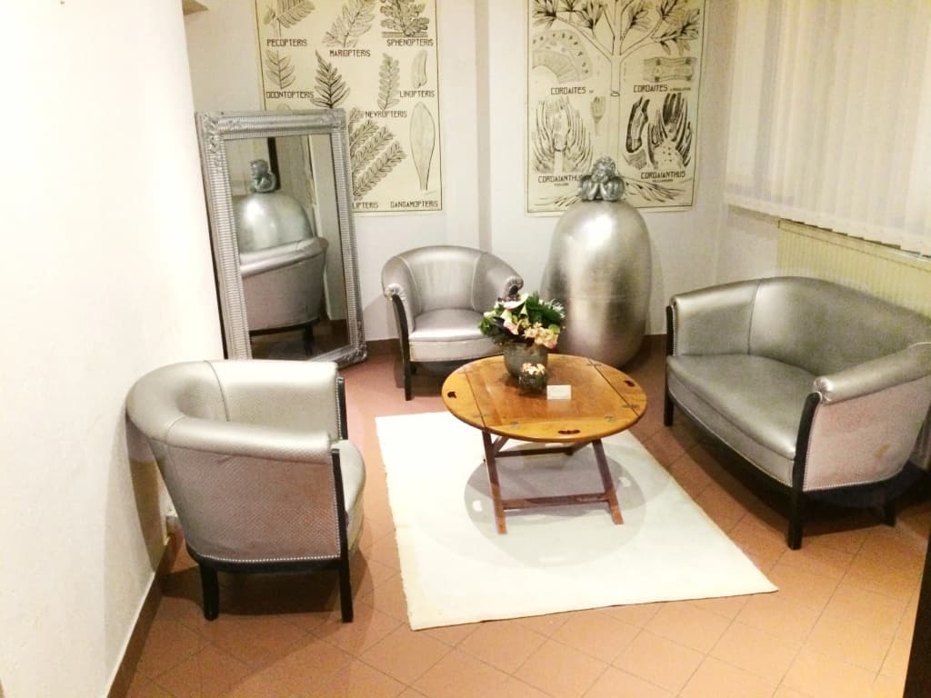 Hotel du Mont Dore - photo 39