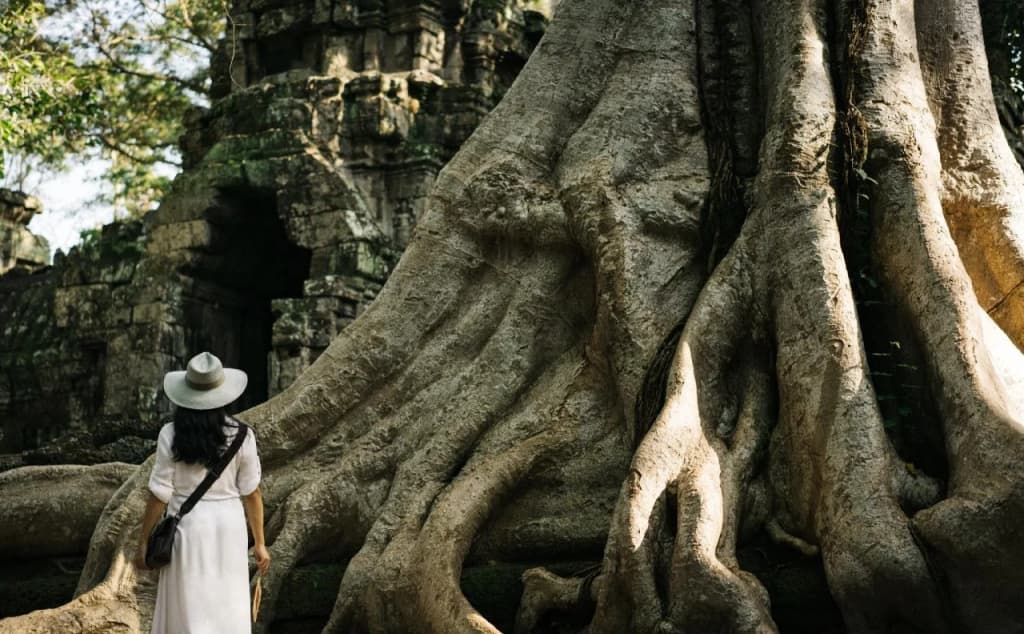 Raffles Grand Hotel d'Angkor - photo 26