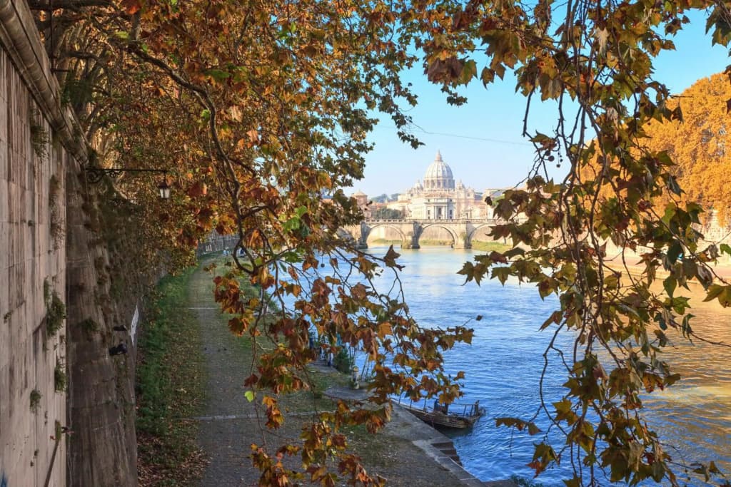 Vatican Domus - photo 10