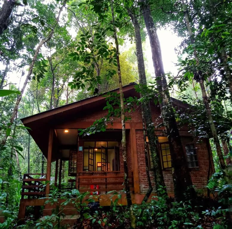 Permai Rainforest Resort - photo 30