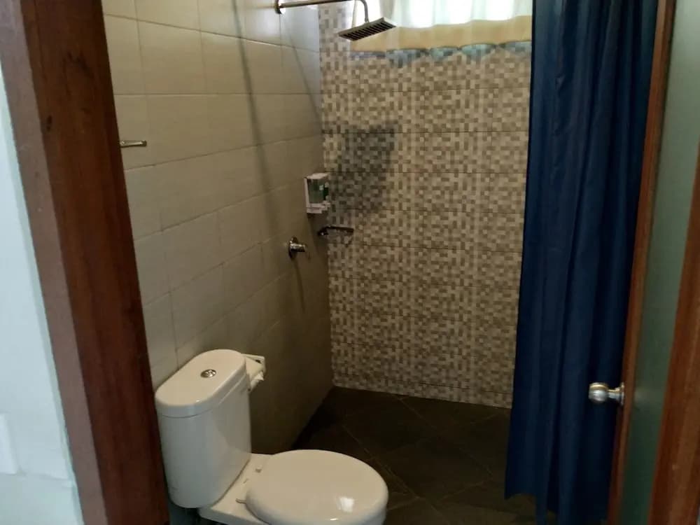 Putu's Paradise Guesthouse - photo 7