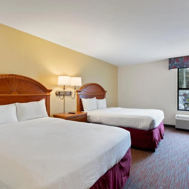 Orlando Palms Hotel - photo 30