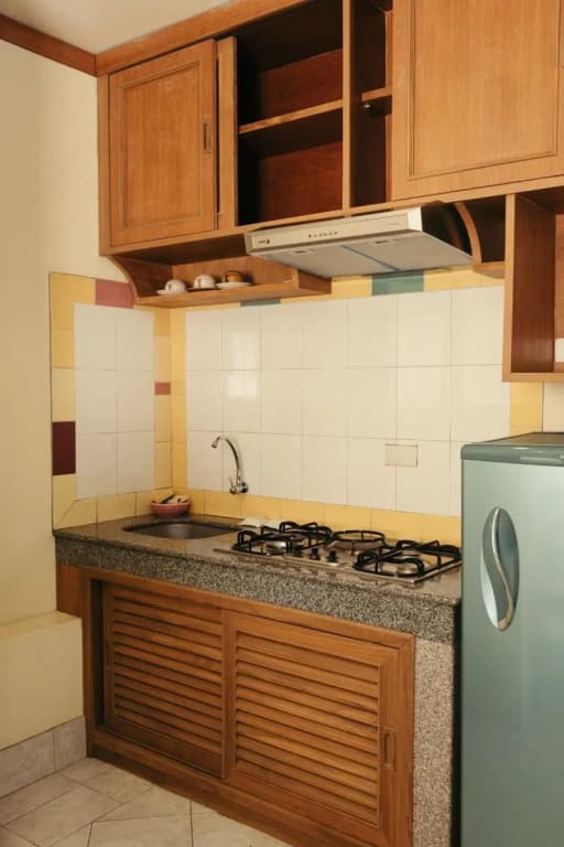 Link Mansion - photo 25