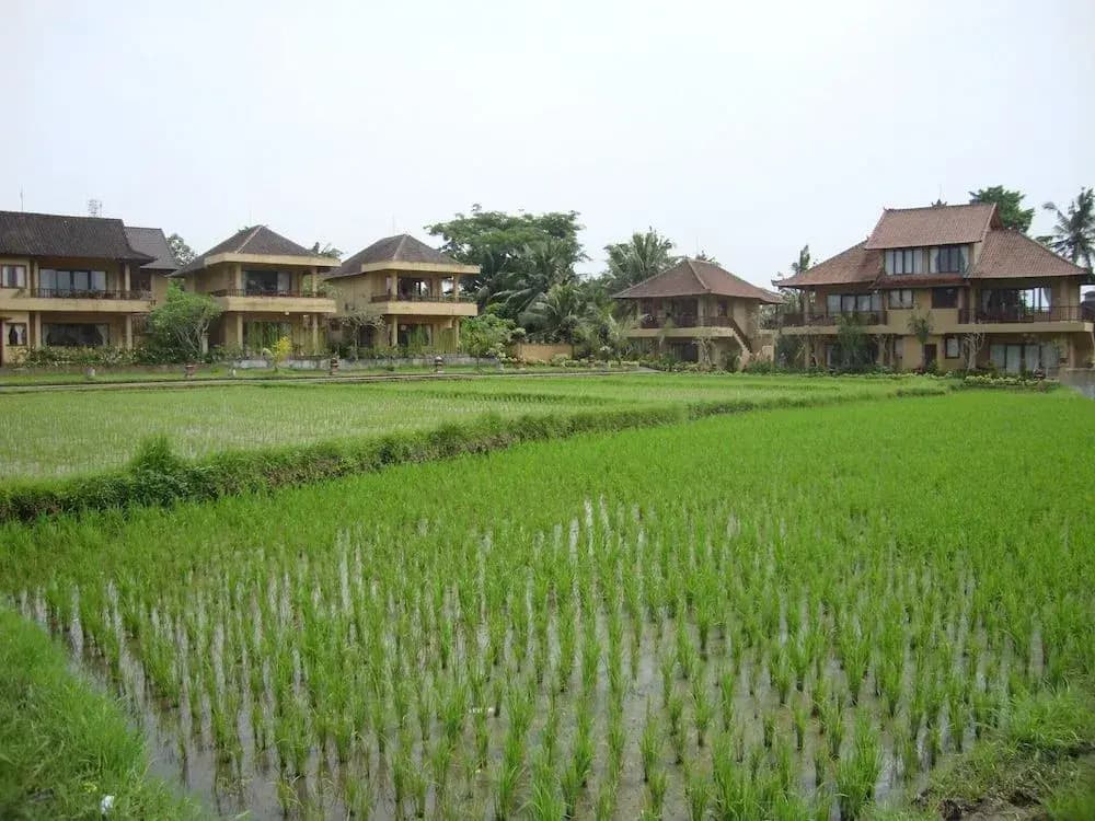 Sri Bungalows - photo 13