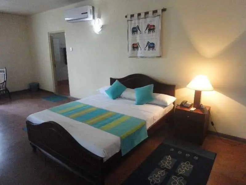 Indra Regent Hotel - photo 7