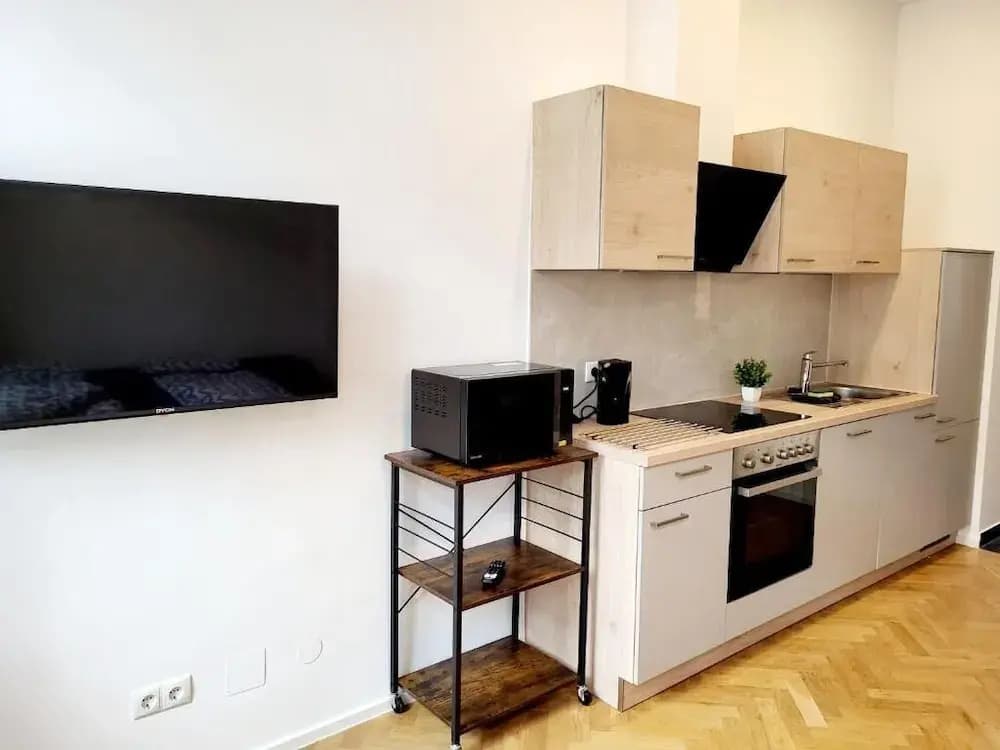 Kienmayer Apartment Vienna - photo 12