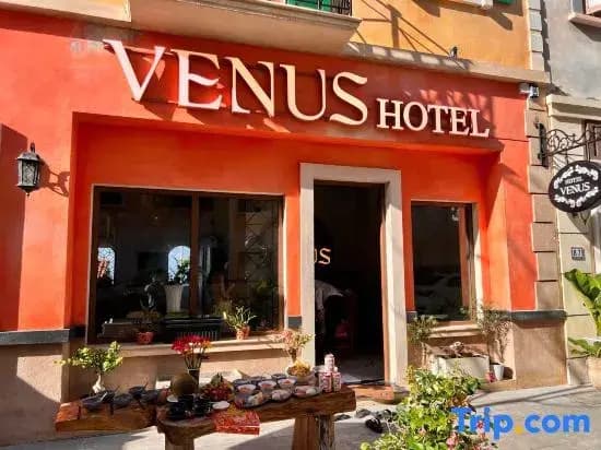 Venus Hotel Phu Quoc - photo 5