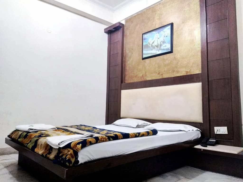 Hotel Maanvi - photo 5