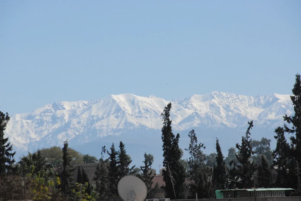 Riad Ajmal - photo 24