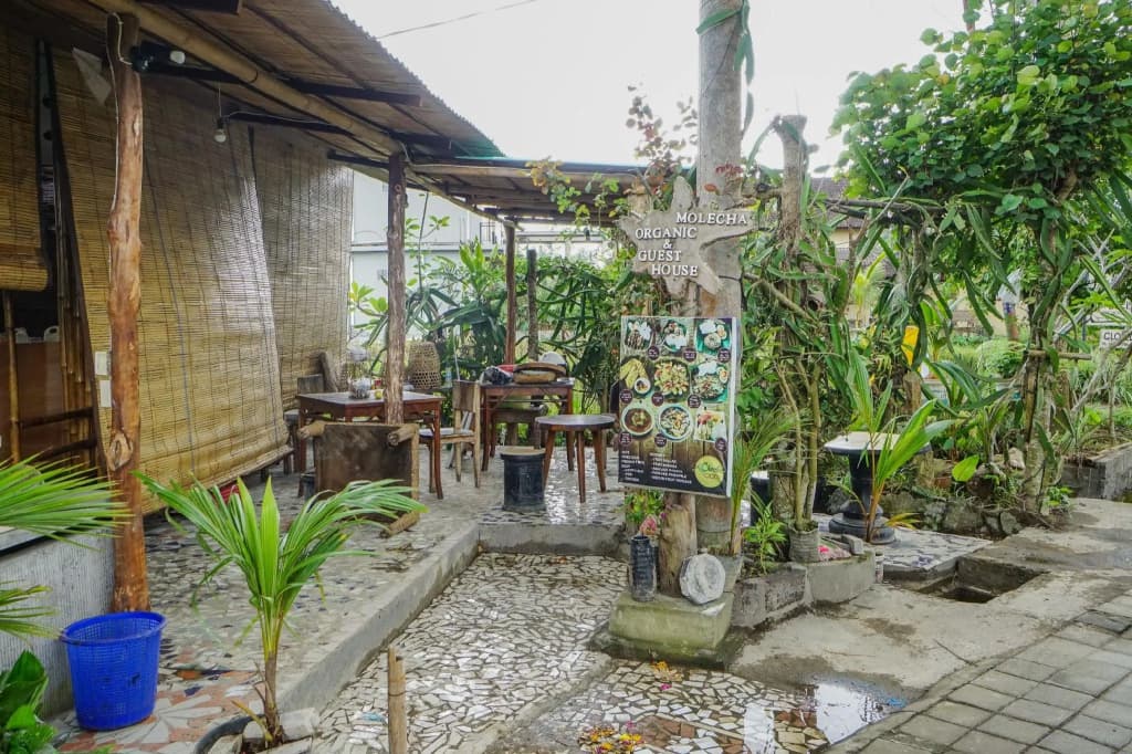 Molecha Guest House - photo 9