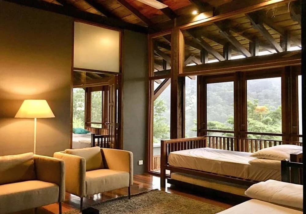 The Shorea - photo 4