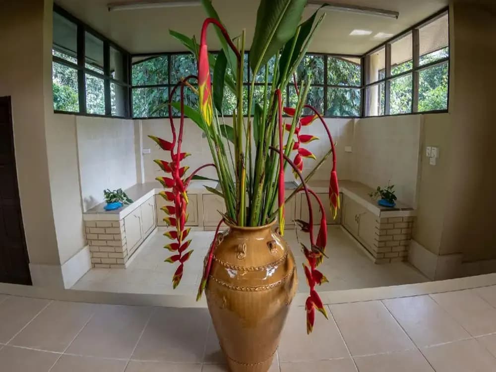 Sutera Sanctuary Lodges At Poring Hot Springs - photo 13