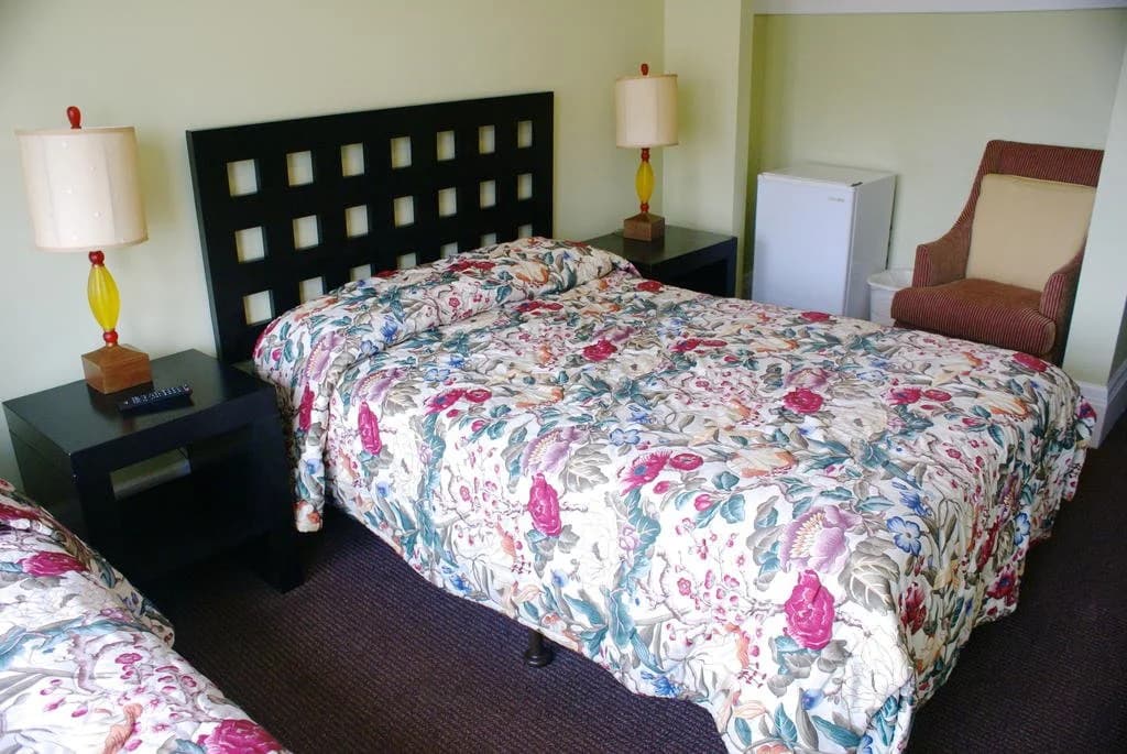 Dakota Hostel and Hotel - photo 4