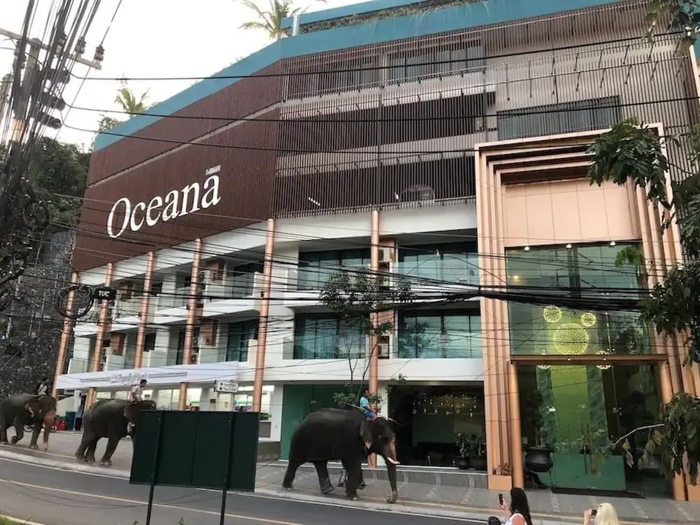 Oceana Kamala Resort - photo 1
