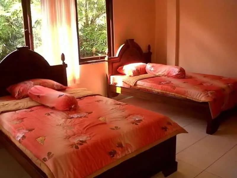 Citrus Tree Rooms - Arik - photo 7