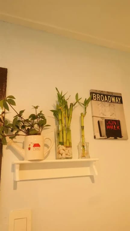 Residence Unicorn in Dongdaemun - photo 2