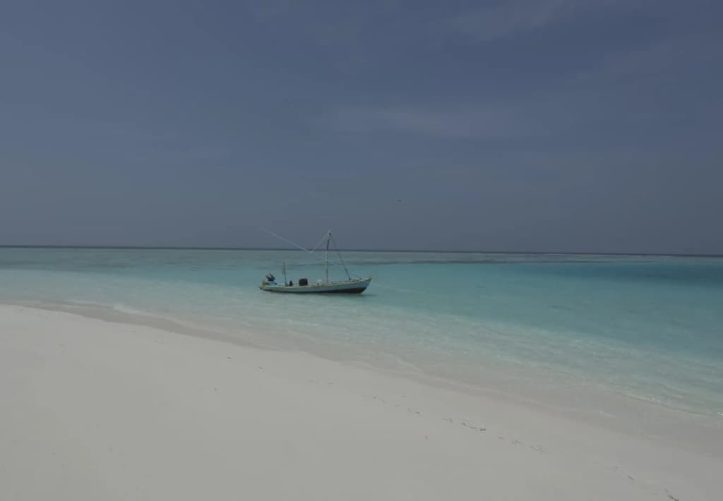 Ungoofaaru Inn - photo 3