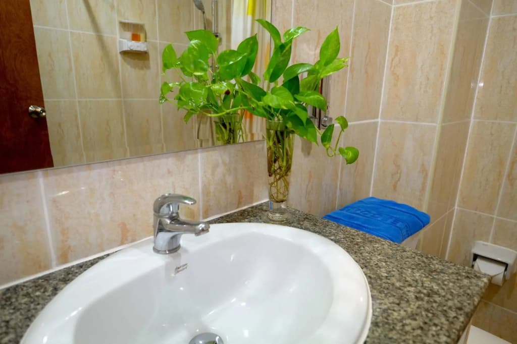 Adonis Guest House - photo 8