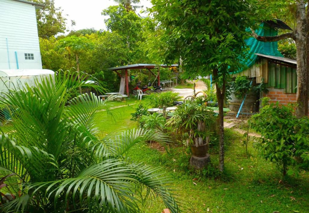 Bonus Bungalow - photo 3