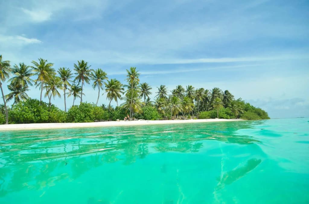 Huraa East Inn - photo 8