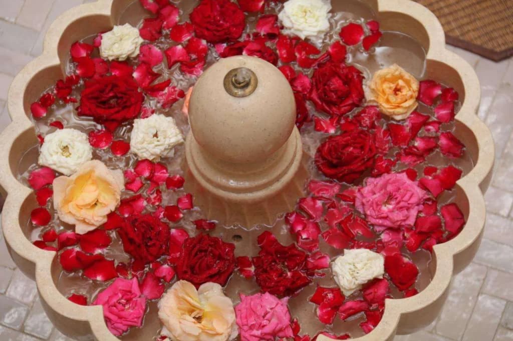 Riad Wazani Square & SPA - photo 9