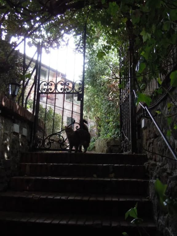 Villino Corbelli - photo 18