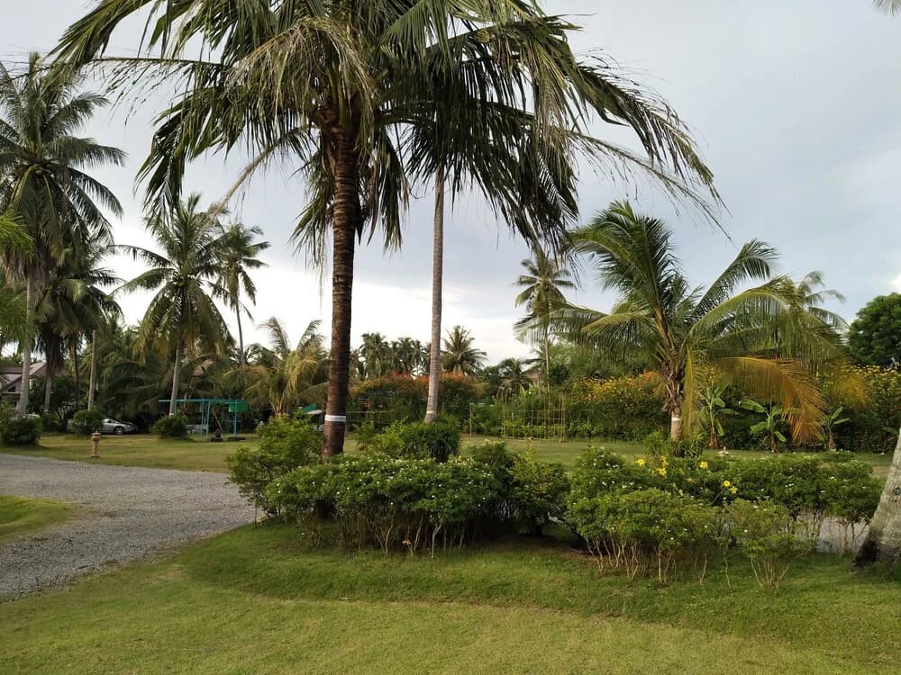 Yoo Sabai Resort - photo 10