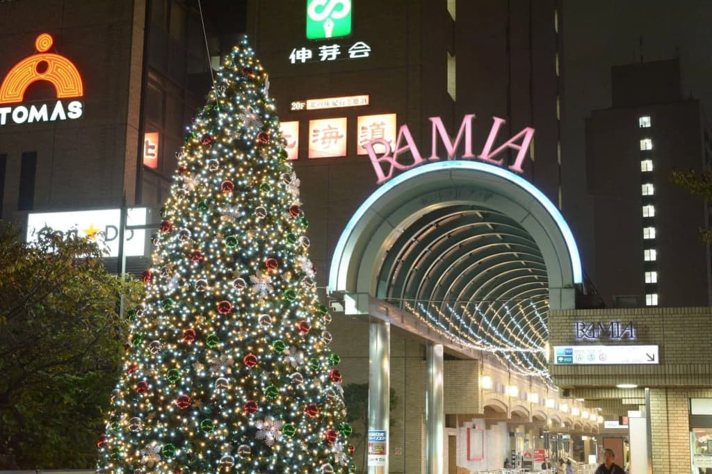 Tokyo Central Youth Hostel - main photo