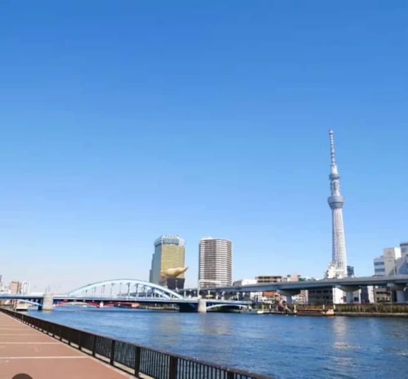 JTR Asakusabashi 202 - photo 14