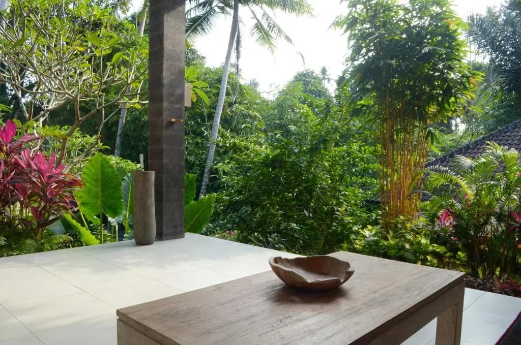 The Bali Shanti - photo 1