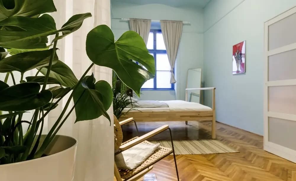Shallot Apartments - photo 12