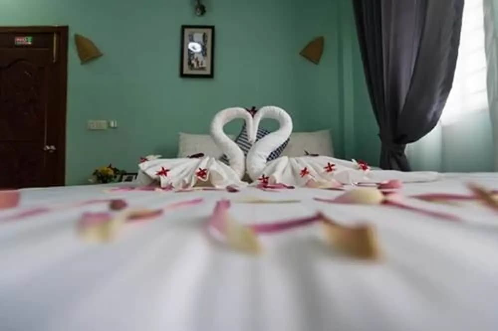 Nika's House - photo 6