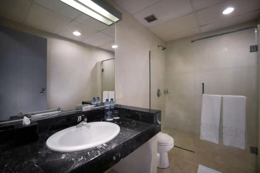 Royal Palm Hotel & Conference Center Cengkareng - photo 8