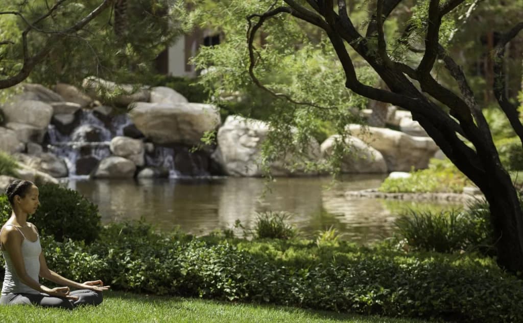 JW Marriott Las Vegas Resort & Spa - photo 35