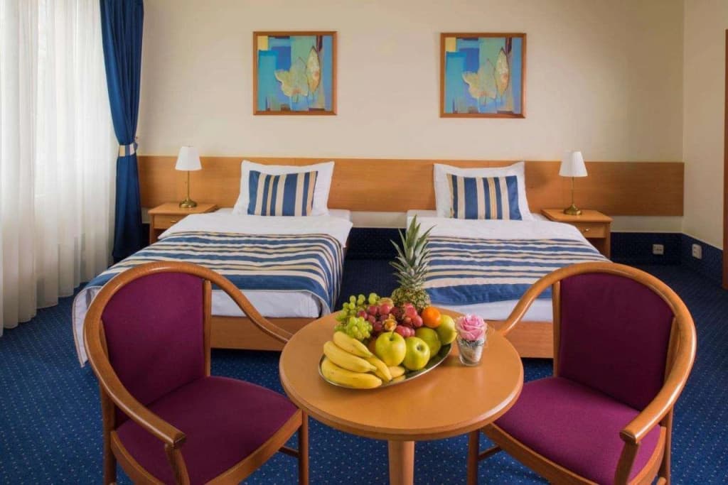 TOP HOTEL Praha & Conference Centre - photo 7
