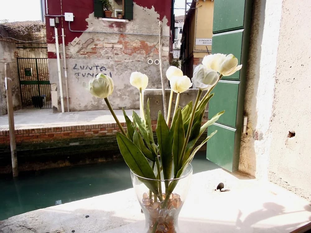 Colombina House - photo 12